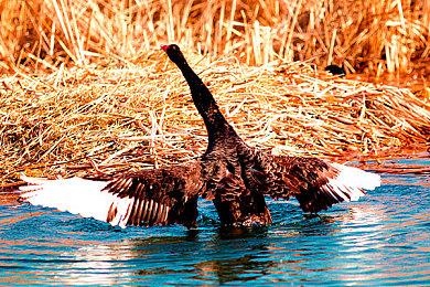 类魂新游《The Unfettered》上架Steam 末世战恶魔